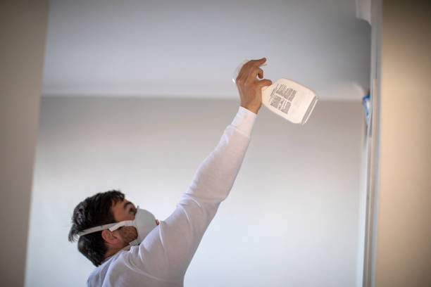 Best Attic Mold Remediation in El Rancho, NM